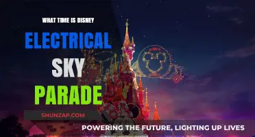 Electrical Sky Parade: Disney's Magical Nighttime Show