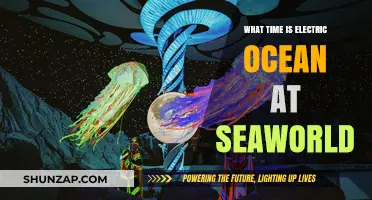 Electric Ocean at Seaworld: When to Experience It