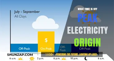 Best Times to Use Electricity and Save Money