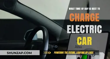 Optimal Charging Times for Electric Vehicles: Maximizing Efficiency and Savings