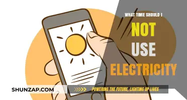 Avoid Peak Hours: Smart Times to Skip Electricity Usage