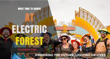 Arriving Early at Electric Forest: When and Why