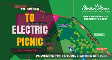 Electric Picnic: Best Time to Go?