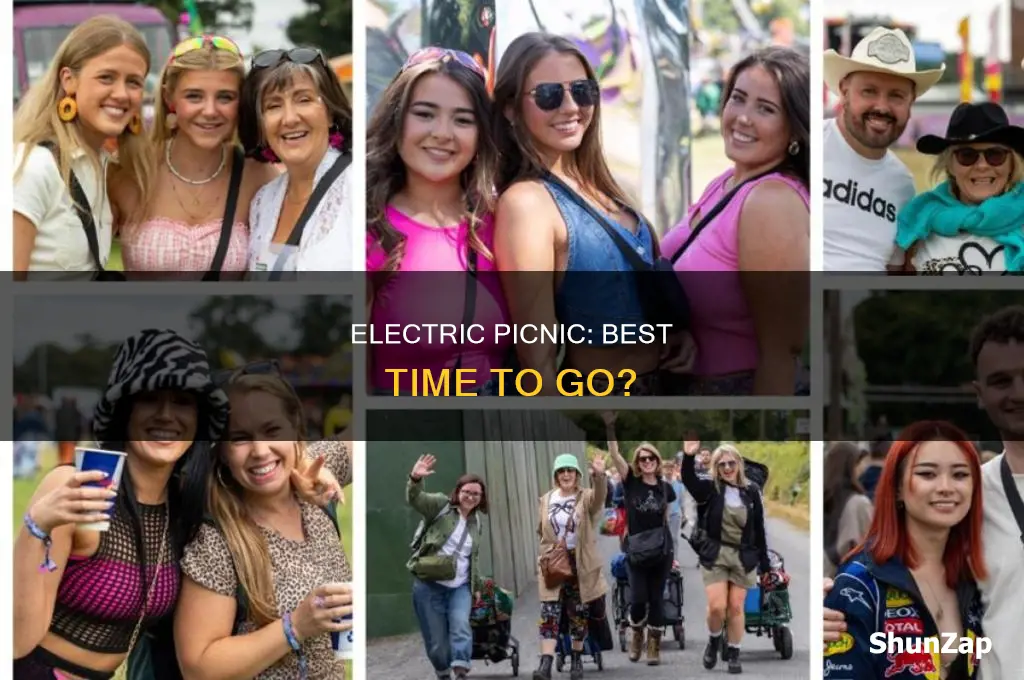 what time to go to electric picnic