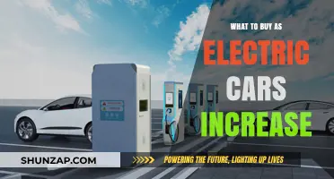 Electric Car Boom: Smart Investments for the Green Automotive Future
