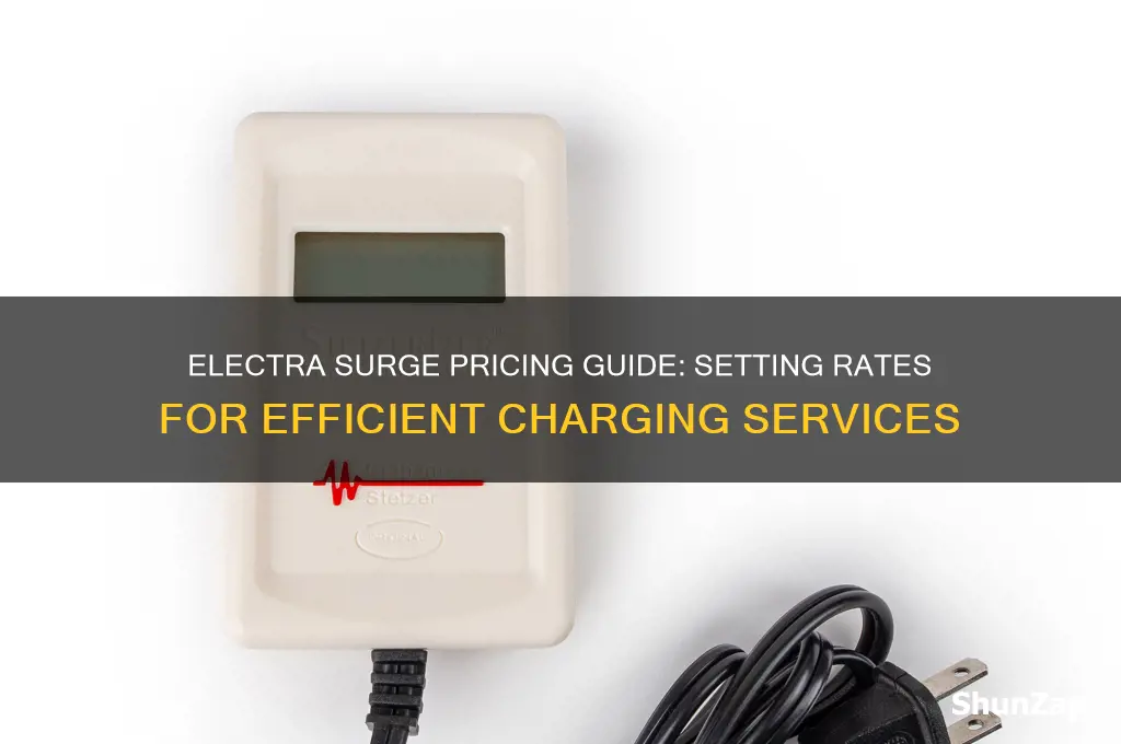 what to charge when using an electra surge
