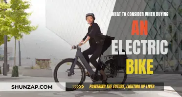 Electric Bike Buying Guide: Key Considerations