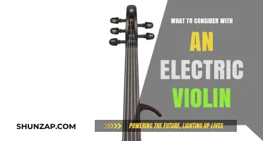 Electric Violin: What You Need to Know