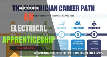 Electrical Apprentices: Your Post-Training Career Guide