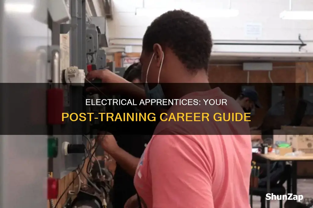 what to do after an electrical apprenticeship