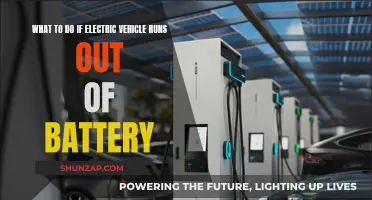 Out of Power: Strategies for Depleted EV Batteries