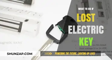 Emergency Steps to Take When Losing Electric Car Keys
