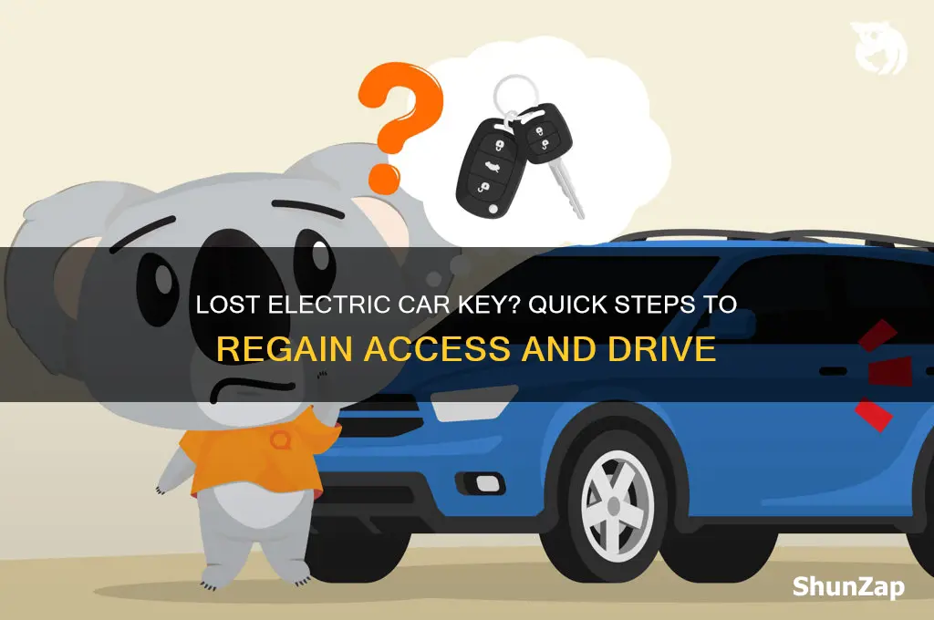 what to do if you lose electric car key
