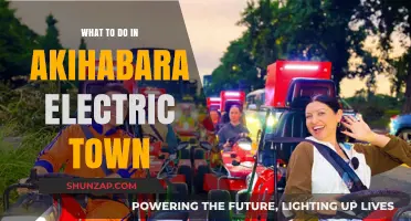 Explore Akihabara Electric Town: Anime, Gaming, and Tech
