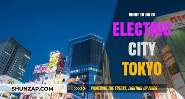 Explore Tokyo's Electric City: A Vibrant, Neon Adventure