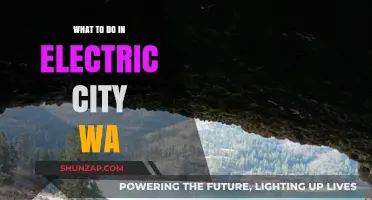 Explore Electric City WA: Activities and Attractions