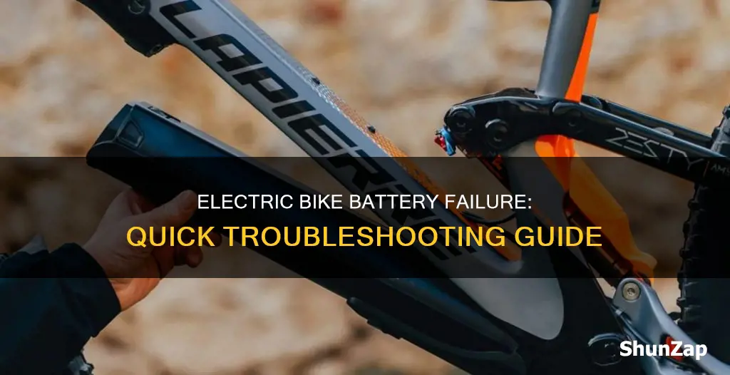 what to do when electric bike batteries fail