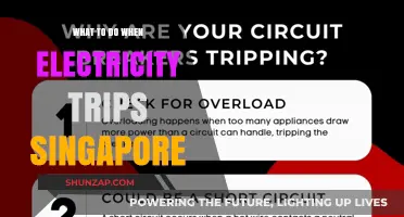 Electricity Trips: Quick Fixes and When to Call for Help