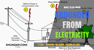 Surviving Without Electricity: Tips and Tricks