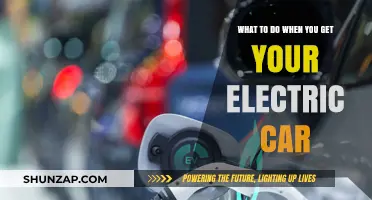 New Electric Car Owner? Essential Tips for a Smooth Transition
