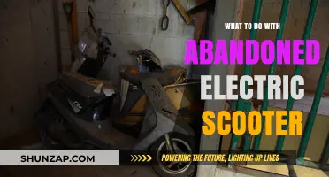 Transforming Abandoned E-Scooters into Art