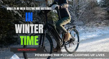 Winter Care for Electric Bike Batteries: Charging and Storage Tips