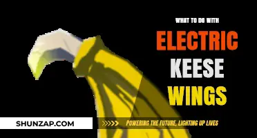 Electric Keese Wings: Crafting and Cooking Ideas