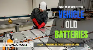 Old EV Batteries: Reuse, Recycle, and Revitalize