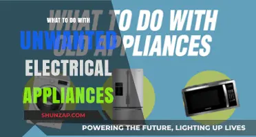 Dispose, Donate, or Recycle: Managing Unwanted Electrical Appliances
