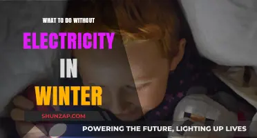 Winter Power Outage Survival Guide