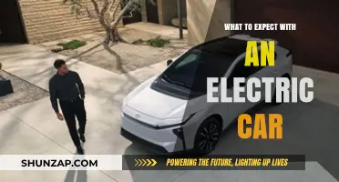 Electric Car Ownership: What to Expect on the Road Ahead