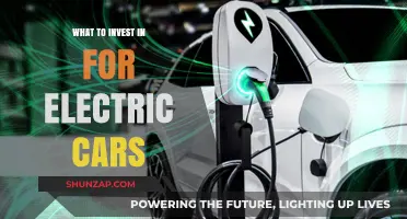Smart Investments for the Electric Vehicle Revolution: A Comprehensive Guide