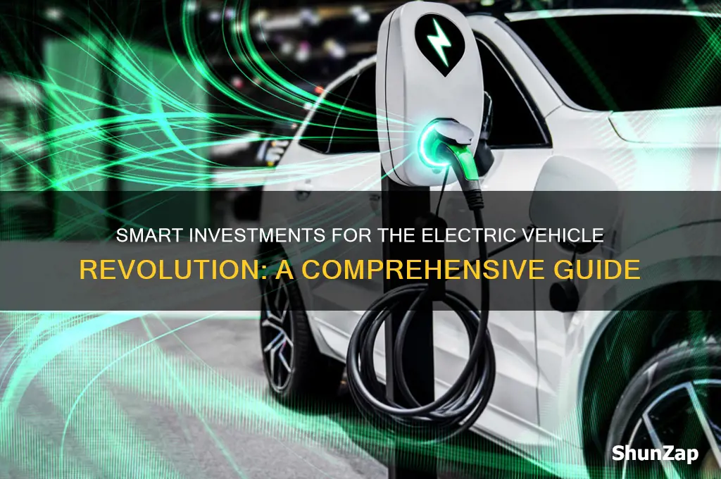 what to invest in for electric cars
