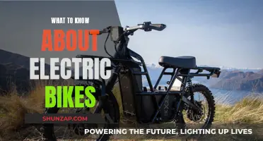 Electric Bikes: What You Need to Know Before Riding