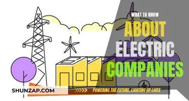 Understanding Electric Companies: Powering Your World Sustainably