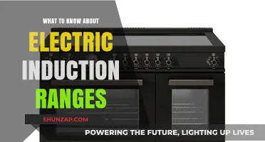 Induction Ranges: What You Need to Know