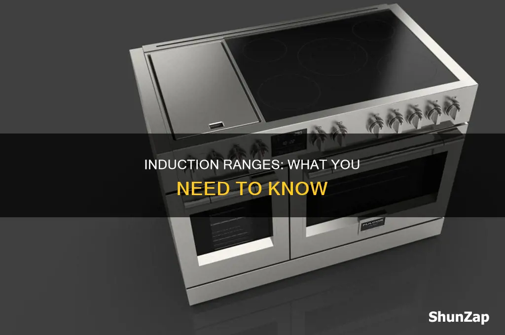 what to know about electric induction ranges