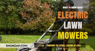 Electric Lawn Mowers: What You Need to Know
