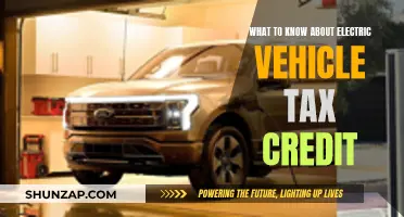 Electric Vehicle Tax Credit: What You Need to Know