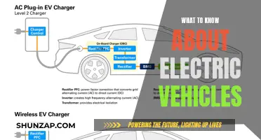 Electric Vehicles: Powering the Future, One Charge at a Time