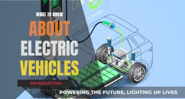 Electric Vehicles: What You Need to Know Now