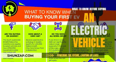 Electric Vehicle Buyers' Guide: Key Considerations for a Smooth Transition