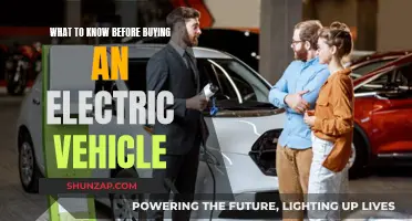 Electric Vehicle Purchase: Key Considerations for First-Time Buyers