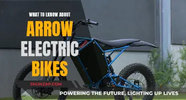 Electric Arrow Bikes: What You Need to Know