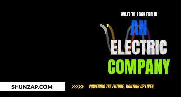 Choosing the Right Electric Company: Key Factors to Consider