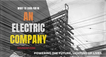 Key Factors to Consider When Choosing an Electric Company