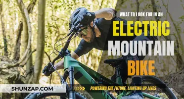 The Ultimate Electric Mountain Bike Buying Guide