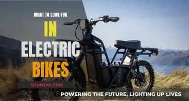 Electric Bike Buying Guide: Key Features to Look For