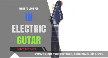 Choosing an Electric Guitar: What to Consider