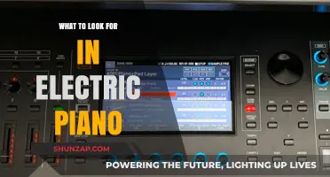 Buying an Electric Piano? Check These Features